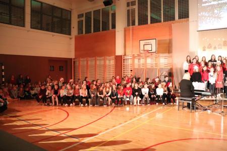 Božično-novoletni koncert Osnovne šole Toma Brejca  (6)